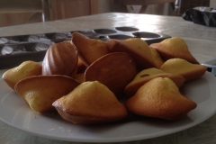 Madeleines