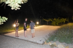 Provence, Rent a holiday house with pool in Lorgues