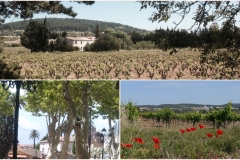 Provence, Rent a holiday house with pool in Lorgues