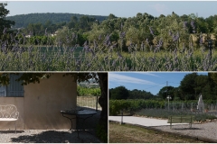 Provence, Rent a holiday house with pool in Lorgues