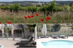 Provence, Rent a holiday house with pool in Lorgues